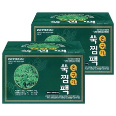 부광약품 온구기 약쑥 찜질팩 10p + 벨트 세트, 2세트