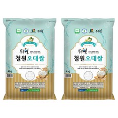 김화농협 2025년 햅쌀 GAP 인증 두루웰 철원 오대쌀 백미, 4kg, 2개, 상등급