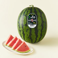 다올찬 맹동 꿀수박, 8kg 이상, 1개