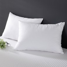 KIT HOME 純棉 60支 皇家緞面 枕頭套