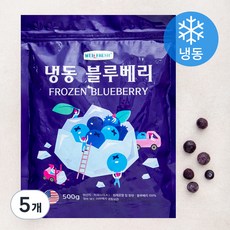 웰프레쉬 미국산 블루베리 (냉동), 500g, 5개