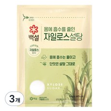 백설 자일로스 설탕, 1kg, 3개