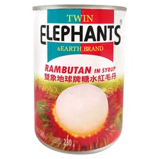 TWIN ELEPHANTS 雙象地球牌 糖水紅毛丹, 565g, 1罐