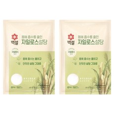 백설 자일로스 설탕, 2kg, 2개