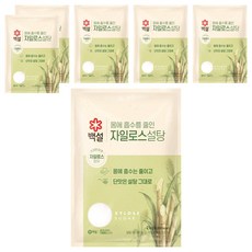 백설 자일로스 설탕, 2kg, 6개