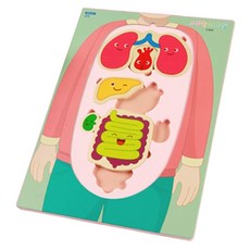 누리놀이 교구 소중한 나의 몸, 신체판, 신체기관 모형, 설명용 자료 등, 1개