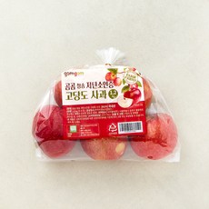 곰곰 청송 저탄소인증 고당도 사과, 1.2kg(소과), 1개