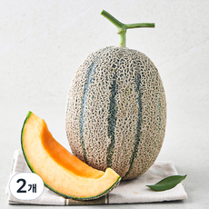 제이드가든 칸탈로프 메론, 1.5kg, 2개