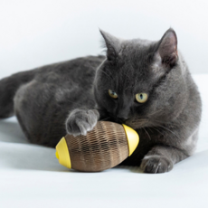 JHcompany 貓咪蜂窩球玩具, 橄欖球, 1個