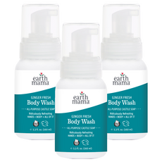 [쿠팡수입] 얼스마마 모닝 웰니스 바디 워시, 160ml, 3개