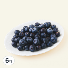 칠레산 세코야 블루베리, 278g, 6개