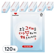 해피데이 파스형 오늘 그대를 따뜻하게 해드리리라 핫팩 50g, 120개