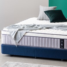 웰퍼니쳐 허리엔 모비딕 포켓 필로우탑 매트리스 방문설치, 250mm, 미디엄하드