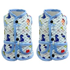 格紋馬甲, 10號, 藍色恐龍, 2件