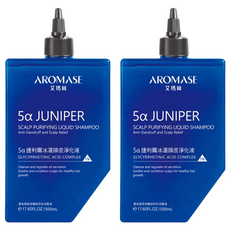 AROMASE 艾瑪絲 5α捷利爾冰湛頭皮淨化液 500ml 2入, 1L, 1組