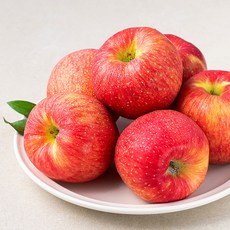 새벽경매 빨간사과, 5kg, 1박스