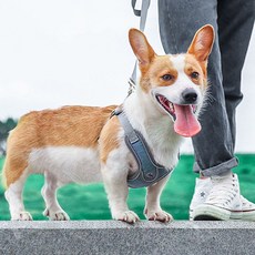 DING DONG PET 狗狗用網眼X型胸背帶, 藍色