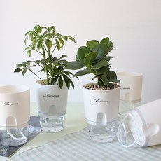 MORIANN 圓形底吸式花盆 5入組, 白色