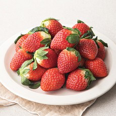 곰곰 유기농 설향딸기(M), 500g(중과), 1팩