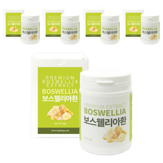갑당약초 보스웰리아환 고급형, 100g, 5개