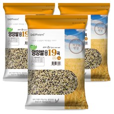 영양만점 찰진혼합 19곡, 2kg, 3개