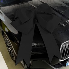 레인윙스 초대형 대왕리본 120cm, 1개, 블랙