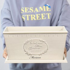 MORIANN 馬口鐵感性塑膠花盆+底盤套組, 馬口鐵米色