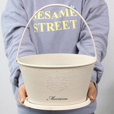 MORIANN 馬口鐵風格塑膠橢圓形掛式兩用花盆 + 底盤, 馬口鐵米色, 1個