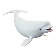 COLLECTA 動物模型玩具 海洋系列, 白鯨 白色, 1個