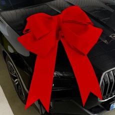 RAIN WINGS 超大型大王緞帶 120cm, 1個, 酒紅色