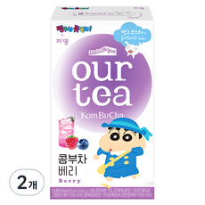 쟈뎅 아워티 콤부차 베리, 5g, 10개입, 2개