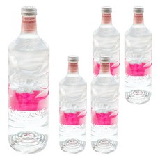 SANT ANIOL 聖艾諾 火山岩氣泡水, 750ml, 5瓶