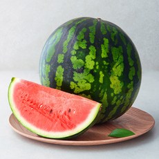 농협 당도선별 수박, 4kg 미만, 1개