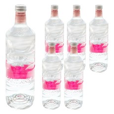 SANT ANIOL 聖艾諾 火山岩氣泡水, 750ml, 6瓶