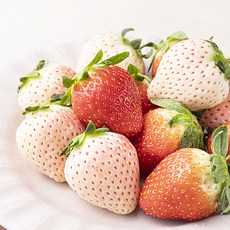 과일진심 콜라보 화이트 딸기 & 설향 딸기, 350g, 1개