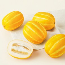 성주 당도선별 참외, 1.2kg(4~5입), 1봉