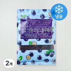 딜라잇가든 와일드 블루베리 (냉동), 2개, 1kg