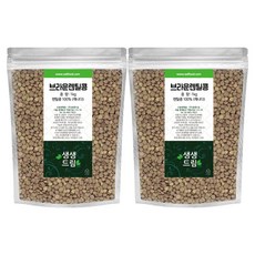 생생드림 브라운 렌틸콩, 1kg, 2개