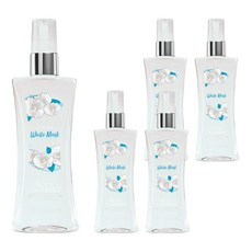바디판타지 프레시 화이트 머스크 프래그런스 바디 스프레이, 94ml, 5개