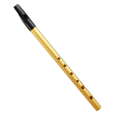 JK 愛爾蘭直笛, 1個, D調 金色