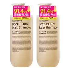힐링버드 비어피디알엔 탈모 샴푸, 1L, 2개
