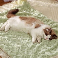 DING DONG PET 寵物球球超細纖維舒適毯, 綠色, 1個