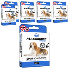 NBP新型犬用苦楝精油驅蝨滴劑 天然成分 長效 犬隻適用 壁蝨跳蚤防護, 5支, 驅蟲, 6盒