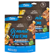 ABSOLUTE HOLISTIC 全齡犬 鮮食肉片, 藍鯖魚 + 放牧羊 + 綠貽貝 + 牛磺酸, 100g, 2包