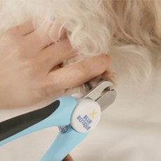 Blue Boutique Blue Prime 寵物指甲剪 16.5 x 7.2cm, 混色, 1個