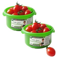 데비마이어 홈콜렉션 그린볼, 2개, 480ml