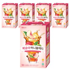 담터 복숭아 허니 블랙티, 13g, 50개입, 5개, 13g