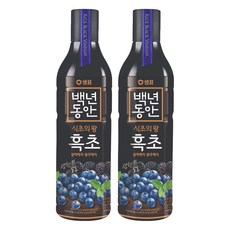 백년동안 현미발효 흑초 블랙블루베리, 900ml, 2개