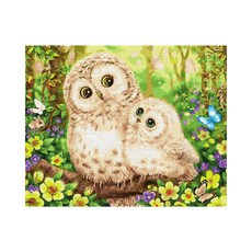 Play about DIY 名畫繪圖套組 40 x 50 cm, 貓頭鷹的春天