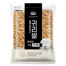더담은 불릴필요없는 귀리쌀, 4kg, 1개 4kg, 1개